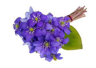 Wall Mural - bouquet from gentle first forest springs blue flowers lie on table isolated macro