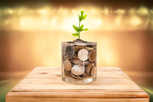 Financial Planning, Money Growth Concept. Coins In Glass Jar With Young Plant On Wooden Table With Backdrop Golden Blurred Of Studio Light.