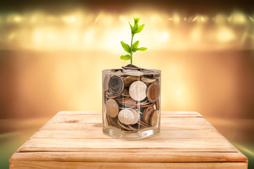 Financial planning, Money growth concept. Coins in glass jar with young plant on wooden table with backdrop golden blurred of studio light.