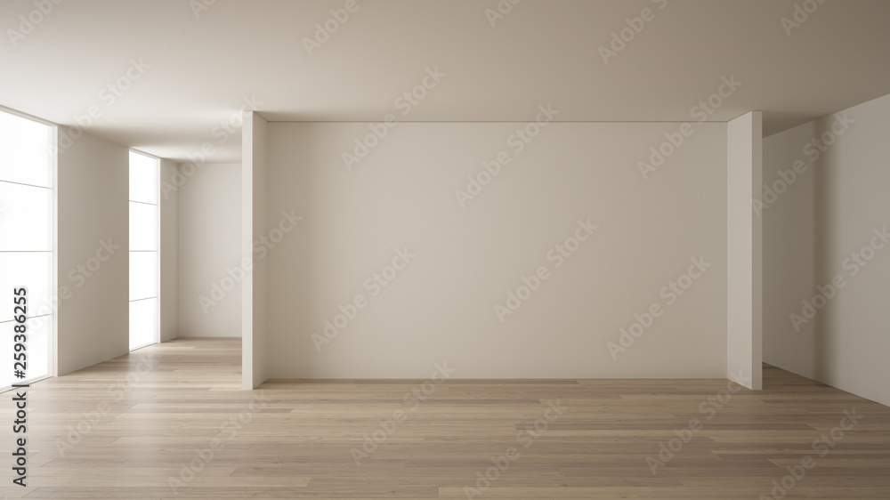 Empty room interior design, open space with white walls, modern style ...
