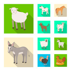 Vector design of breeding and kitchen  sign. Collection of breeding and organic  vector icon for stock.