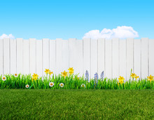 Spring Flowers And Wooden Garden Fence
