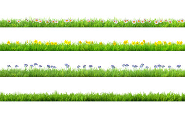 Wall Mural - a spring grass with daisy and narcissus flowers isolated