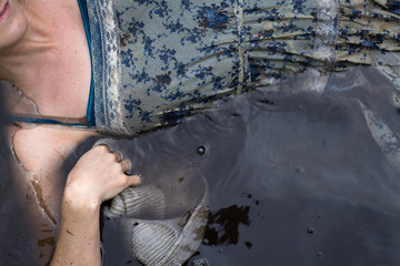  Modern Ophelia in lily pads