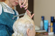 © Светлана Акифьева - Haircut for the elderly. The process of cutting grandma's in the hair salon.