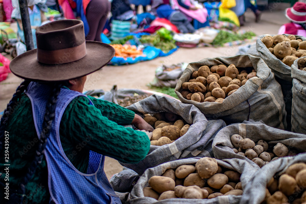 Cusco, Peru - March 31 2019: Indigenous woman selling different types of potatoes at "Vinocanchon San Jeronimo" market. Poor Peruvian female peasant. - obrazy, fototapety, plakaty 