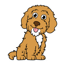 Cartoon Cockapoo Dog