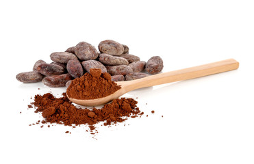 Poster - cocoa beans and cocoa powder isolated on white background