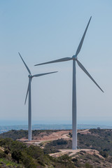 Wall Mural - Windmills in Larnaca Cyprus