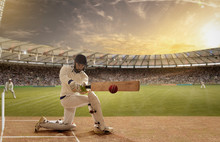 Cricketer Free Stock Photo - Public Domain Pictures