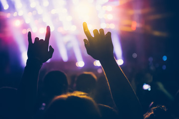 Cheering crowd at concert enjoying music performance