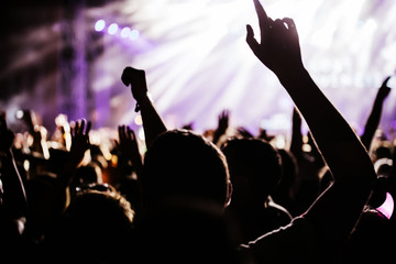 Cheering crowd at concert enjoying music performance