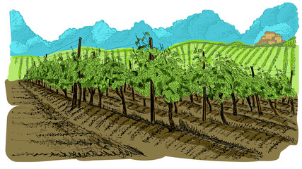 Landscape of vineyard with clouds and building on the hill. Hand drawn edges with colored background. Vector illustration