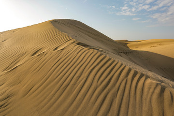 Gran Canaria island landscape of sand on beach 