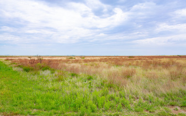 Muleshoe National Wildlife Refuge in Texas, USA