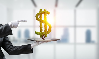 Wall Mural - Hand of waitress presenting dollar sign on tray.