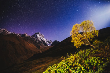 Wall Mural - scenic image of night sky over the peak ushba. location mestia, upper svaneti, georgia, europe.