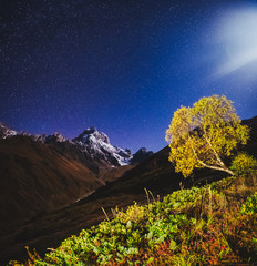 Wall Mural - scenic image of night sky over the peak ushba. location mestia, upper svaneti, georgia, europe.