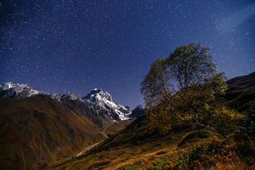 Wall Mural - scenic image of night sky over the peak ushba. location mestia, upper svaneti, georgia, europe.