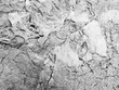 © srckomkrit - gray stone texture