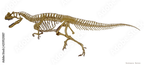 ジュラ紀の獣脚類 肉食恐竜のケラトサウルスの骨格のみのイラスト 骨格に肉付けしたものとセットで発表しているが これは骨格を原画サイズのまま詳細に修正を加えた Comprar Esta Ilustracion De Stock Y Explorar Ilustraciones Similares En Adobe Stock Adobe