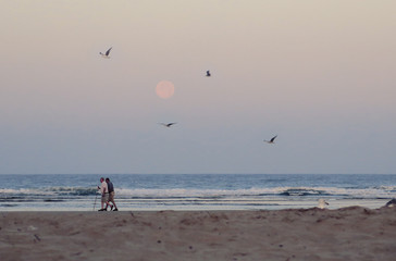 dos ancianos caminan por la playa