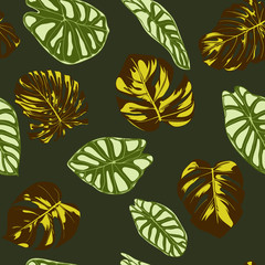  Seamless Exotic Pattern with Tropical Plants. Vector Background with Hand Draw Monstera Palm Leaves. Bright Rapport for Cloth, Textile Design. Jungle Foliage. Seamless Tropical Pattern with Alocasia.