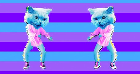 Wall Mural - Minimal motion art. Funny dancing Cat in colours background