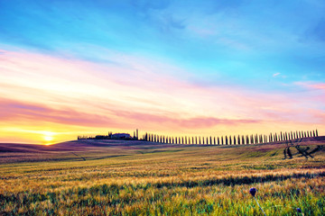 Wall Mural - Beautiful magical landscape with a field and a line of cypress in Tuscany, Italy at sunrise