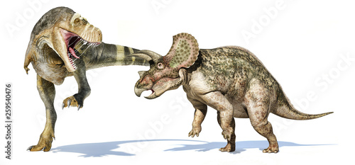 Fotografia  T-rex dinosaur attacking a triceratops.