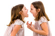 © _jure - Identical twin girls sisters are arguing yelling at each other.