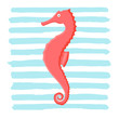 Coral seahorse animal flat character with abstract cyan spot isolated on white background. Cartoon hippocampus for design, logo, background, card, print, sticker