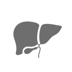 Wall Mural - Liver vector icon