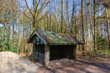 Wall Mural - kleines Haus am Wanderweg in einem Wald