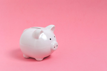 Pink piggy bank on pink background. Money and business.