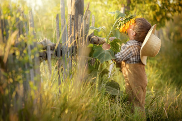 Boy sniffs sunflower