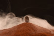 Fresh roasted coffee bean stands on a scattering of ground coffee in the smoke. Black background. Post card, banner.