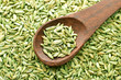 Top view of fennel seeds on wooden spoon, close-up, saunf