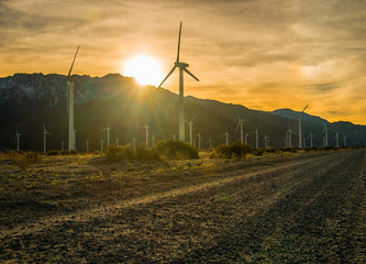 wind turbines at sunset