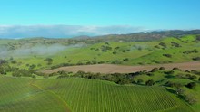 Aerial Pull Out Shot Vineyards In California Santa Barbara County