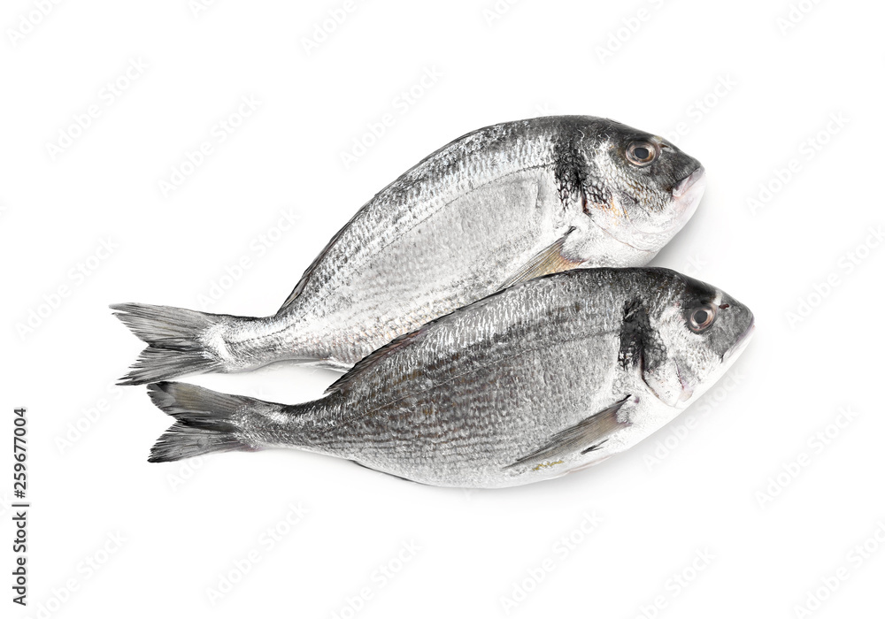 Fresh dorado fish on white background
