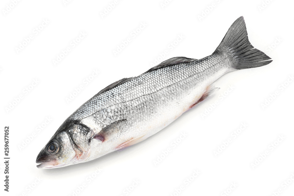 Fresh fish on white background