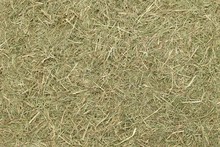 A Country Farming Themed Wallpaper Background Of Dried Straw Grass Hay With Copy Space For Your Text Or Picture