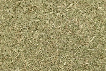 A country farming themed wallpaper background of dried straw grass hay with copy space for your text or picture