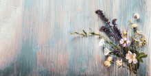 Wild Flowers On Old Grunge Wooden Background (chamomile Lupine Dandelions Thyme Mint Bells Rape)