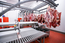 A Lot Of Chopped Raw Meat Hanging And Arrange In A Row Ready For Processing Process In A Meat Factory. Horizontal View.
