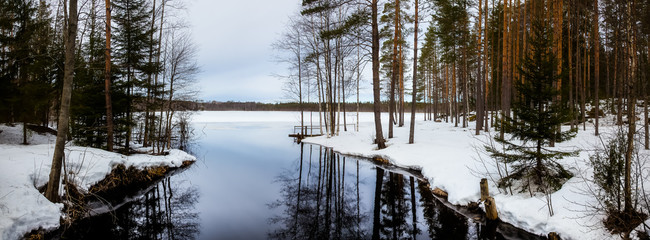 Wall Mural - Natural landscape - forest, lake,river are under snow in spring in March