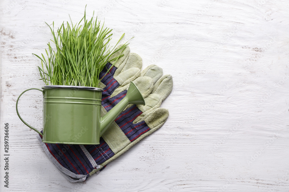 Green grass with watering can and gloves on white table