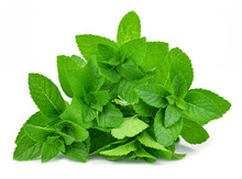 Fresh Mint Leafs Isolated On A White Background
