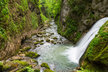 Pristine river and waterfalls deep in the mountains, in summer, and bright green foliage